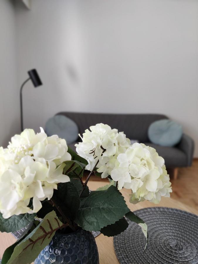 Niinivaara Apartment Saunallinen Ja Ilmastoitu Majoitus 约恩苏 外观 照片